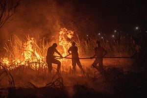 Los agentes de policía utilizan una manguera para extinguir los incendios forestales en la regencia de Ogan Ilir, provincia de Sumatra del Sur, Indonesia, el 20 de septiembre de 2023.
