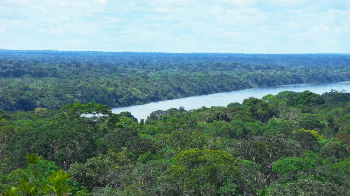 Los departamentos del Caquetá y Amazonas y el Escudo Guayanés en la región de la Orinoquia, también requieren de mayores muestreos