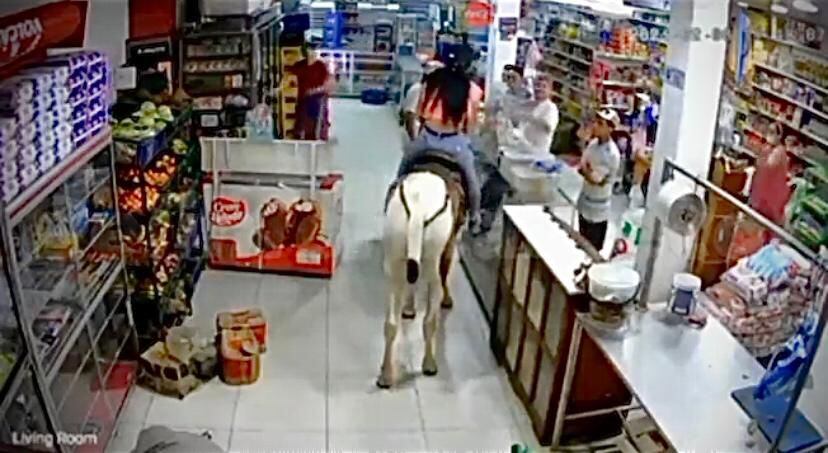 La mujer entró hasta la tienda montada en el caballo