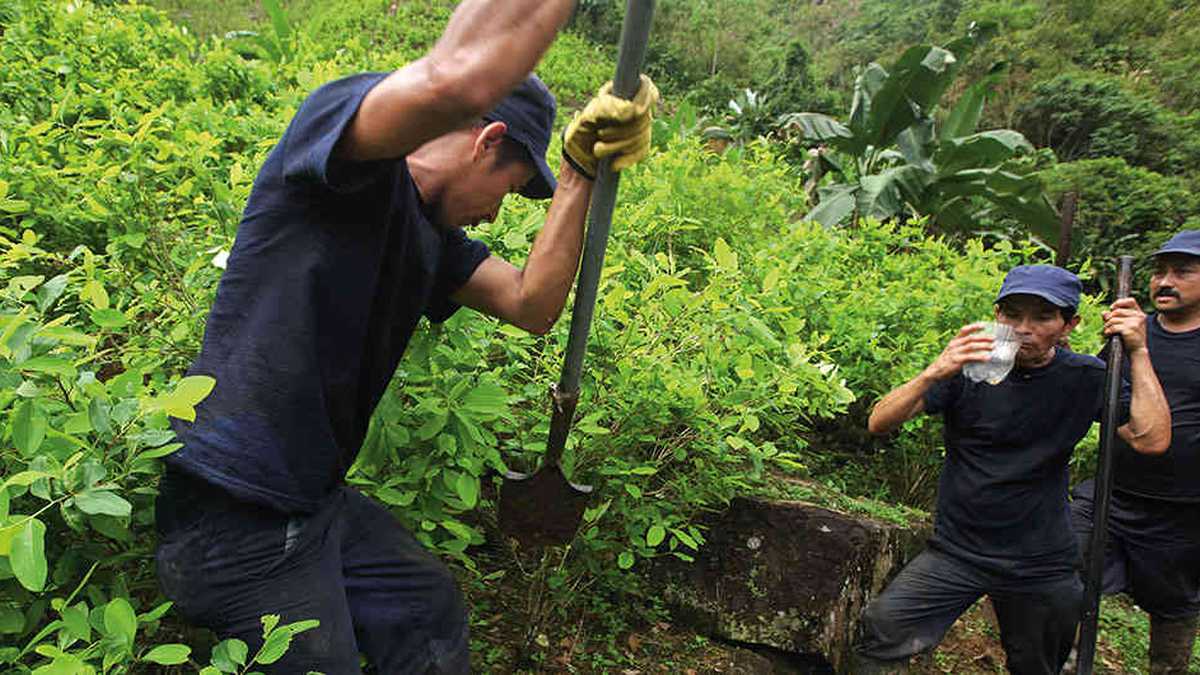  En 2019, la fuerza pública reportó 94.600 hectáreas de coca erradicadas, superando el objetivo de 80.000. Para este año determinaron una meta de 130.000. 