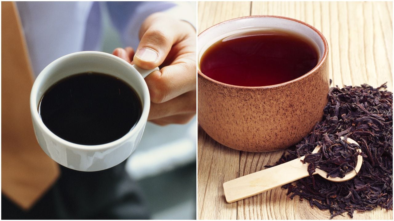 Café o té negro: ¿cuál es mejor tomar?