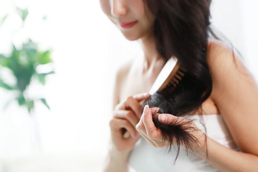 El romero es utilizado para tratamientos del cabello, ya que por sus propiedades de calentamiento, estimula la circulación sanguínea, oxigenando el cuero cabelludo y las raíces del cabello.