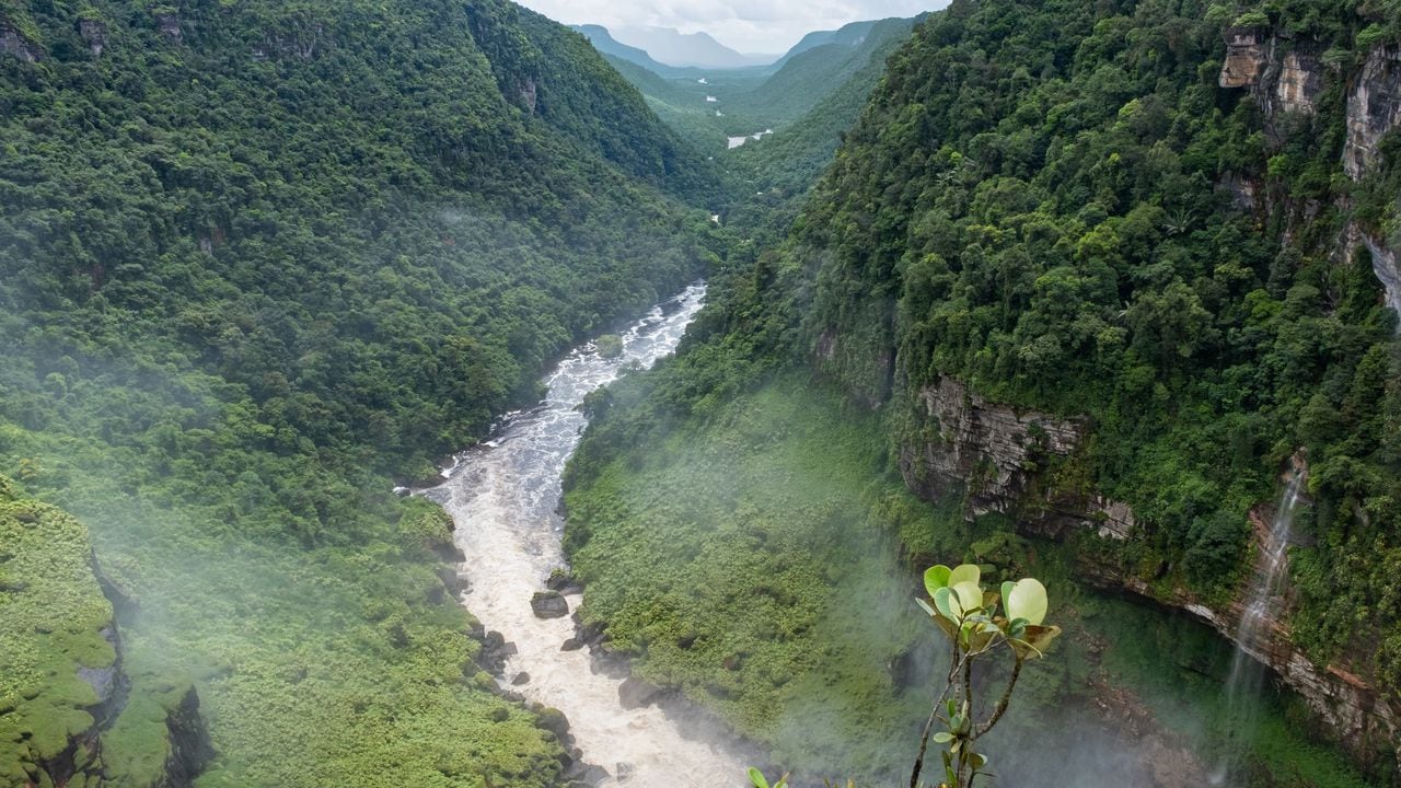 Vista aérea sobre el río Potaro desde lo alto de las cataratas Kaieteur en el Parque Nacional Kaieteur, Guyana, Sudamérica.
