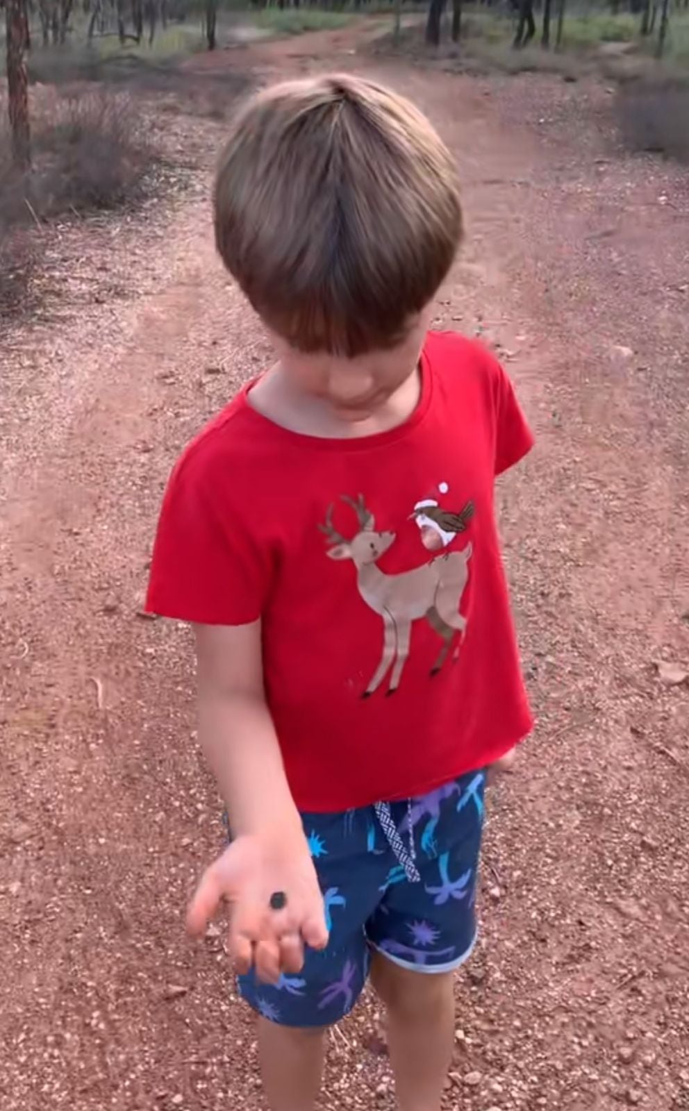 El niño encontró un zafiro en el 2022