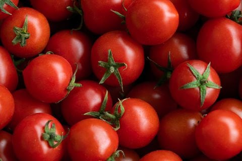 Los tomates están compuestos de agua y vitaminas.