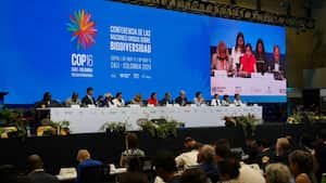 En el salón Amazonía de la Zona Azul, los ministros y representantes de los 196 países de Naciones Unidas adelantan negociaciones claves para definir cómo se cumplirán las metas acordadas hace dos años en el Marco Mundial de Kunming-Montreal. Las fuentes de financiación, mecanismos de monitoreo y el seguimiento de los planes son algunos puntos principales.