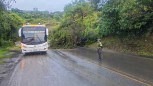 La emergencia sucedió en la vía Panamericana, en inmediaciones al área urbana de la ciudad de Pasto, Nariño.