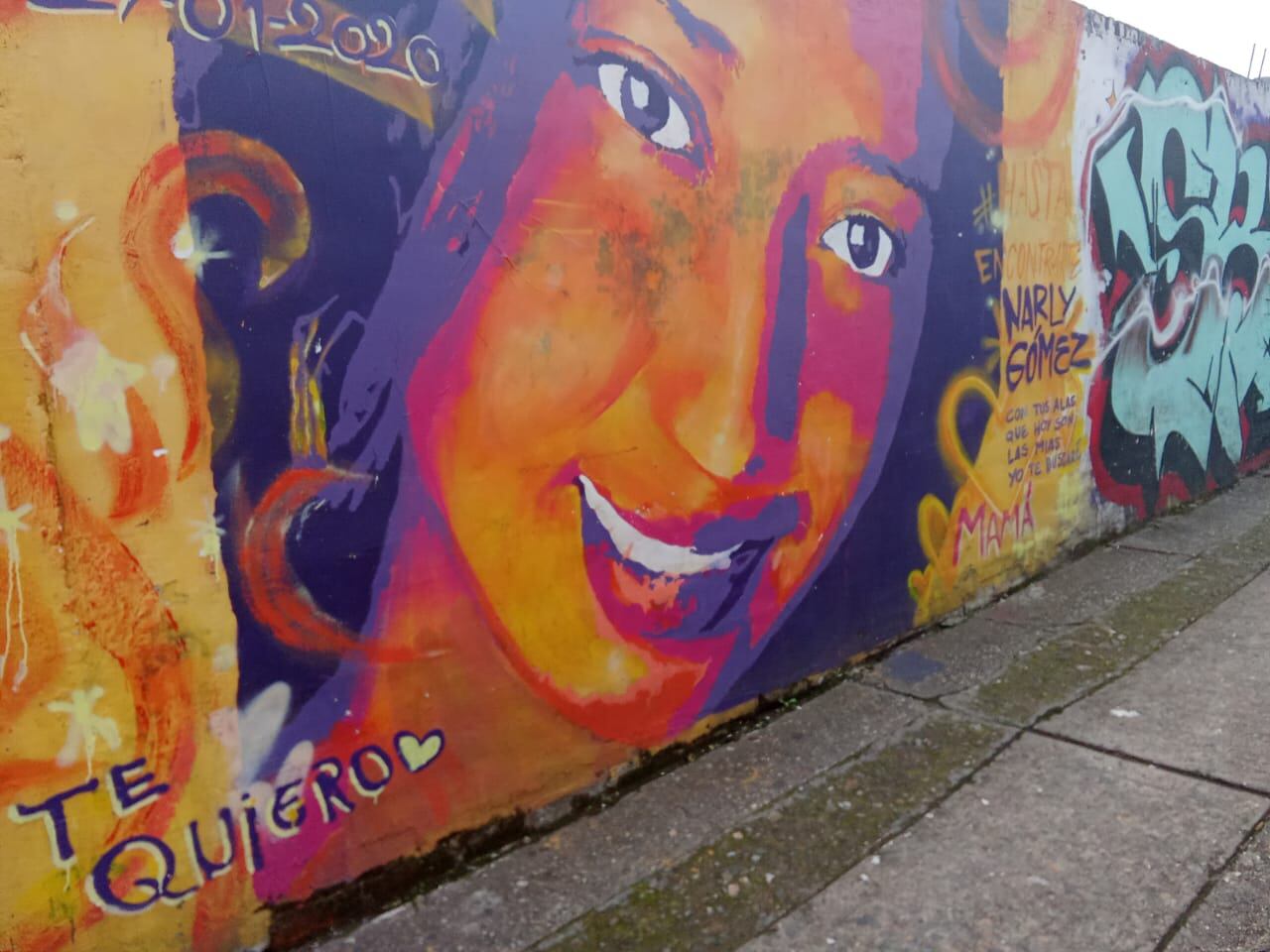 Desde Popayán reportaron el aumento de los casos de feminicidios en esta región del país, hasta el momento son 55 casos registrados en el Cauca, como bien lo confirmó el Observatorio Mujeres, Tierra y Territorio de la Corporación de Mujeres Ecofeministas, Comunitar. La foto es Narly Gómez Jiménez, víctima de feminicidio.