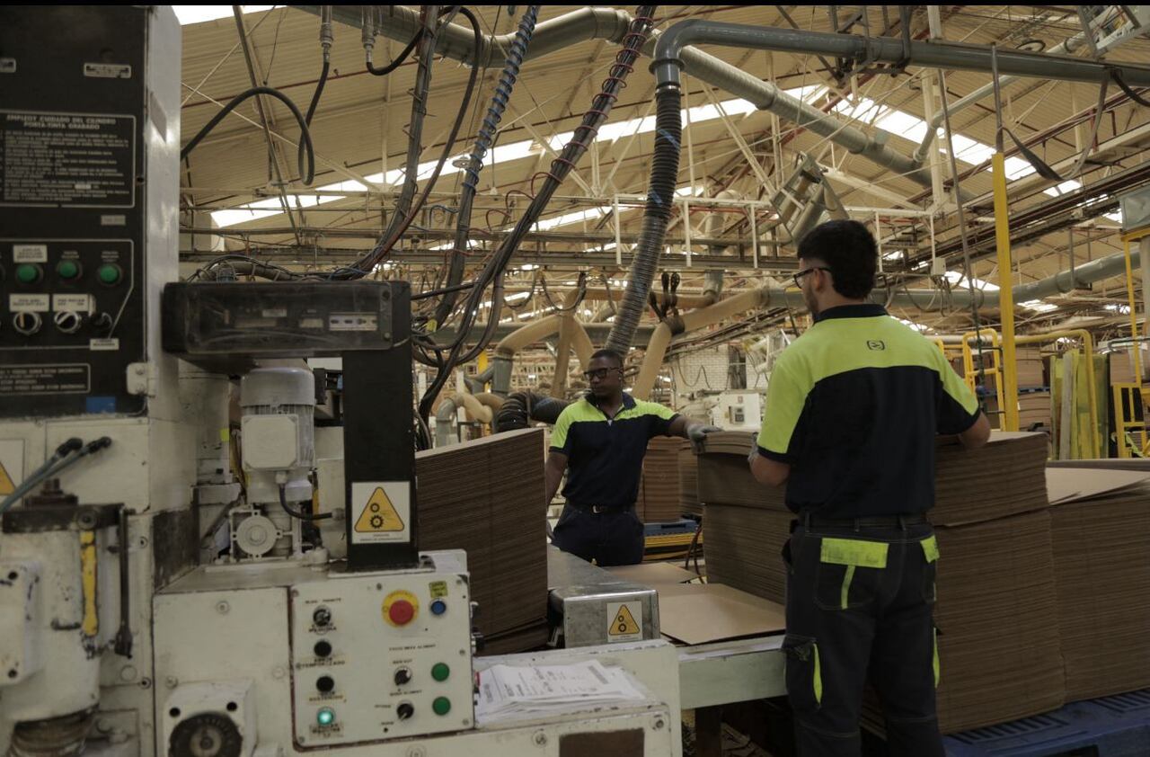 Cartón de Colombia – Smurfit Westrock lidera un programa de educación técnica agropecuaria y forestal, que conecta a jóvenes profesionales con la cadena productiva de la empresa.