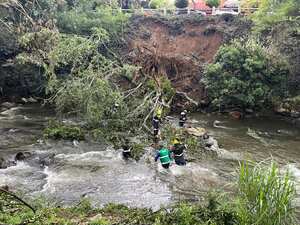 En medio de las lluvias, se reportó la caída de un chiminango sobre el caudal del río Cali, en el sector de Santa Teresita.