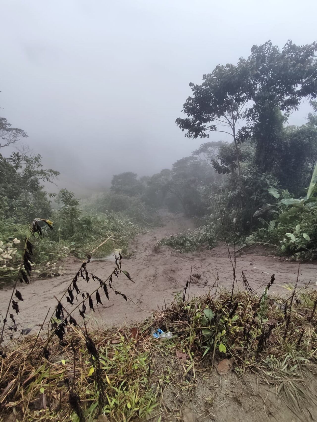 Una tragedia golpeó al municipio de Dabeiba, en el Occidente antioqueño.