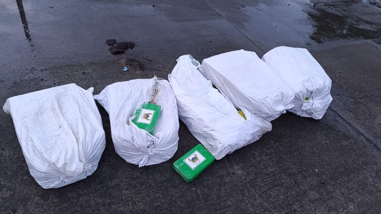 La cocaína iba camuflada entre cacao y entre comida para ganado.