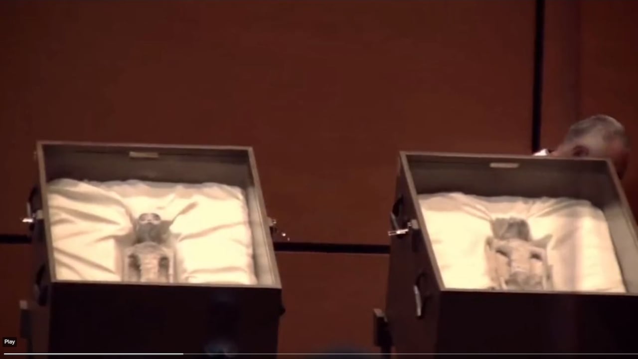 Cadáveres de extraterrestres encontrados en Perú
X @UHN_Plus