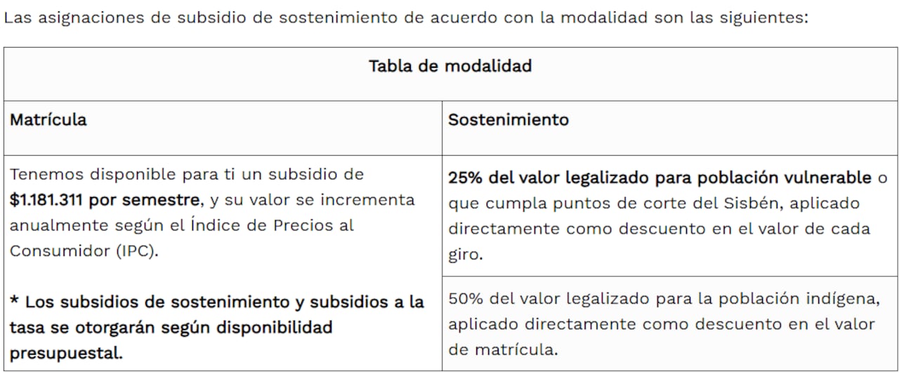 Estas son las asignaciones del subsidio según las características particulares del solicitante.