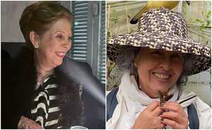 Las plataformas digitales son el blanco de ataque de los ciberdelincuentes.