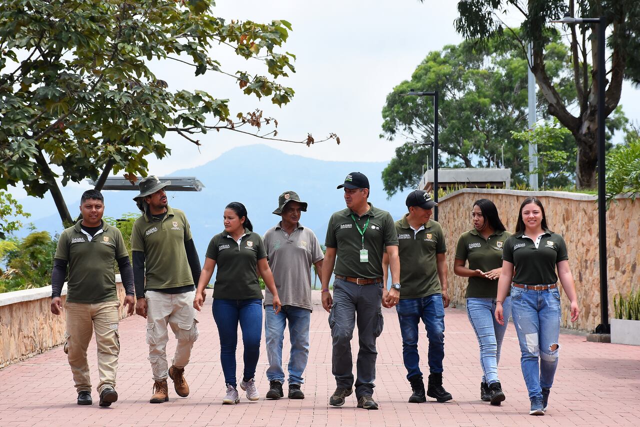 4km de barreras corta fuego para mitigar el efecto de los incendios forestales