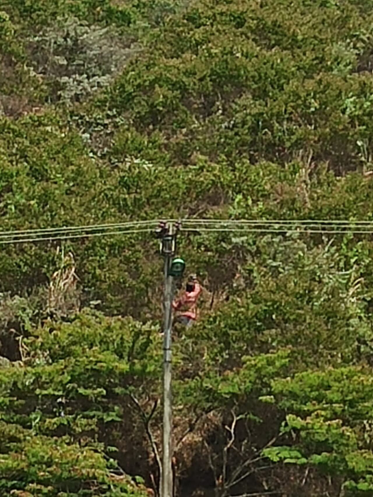 Hasta las redes eléctricas estarían siendo manipuladas por los individuos.