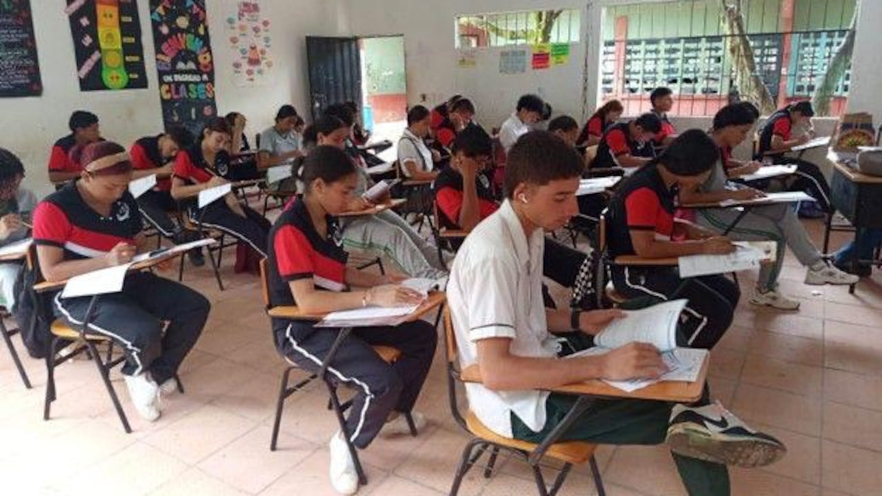 PTIES; la apuesta del Gobierno que impulsa jóvenes, rumbo a la educación superior; así ha impactado el Valle del Cauca