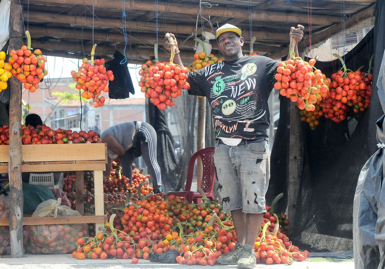 Cali: Reportaje gráfico, temporada de "superpoderes afrodisíacos" en Cali. El Chontaduro en esta temporada proveniente de Putumayo, también se cultiva en los departamentos de Chocó, Cauca, Valle del Cauca. Foto José L Guzmán. El País, feb 16-24