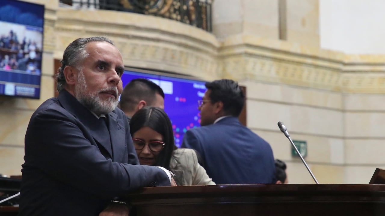 Plenaria de senado, consulta popular