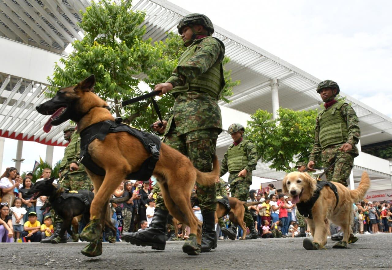 Desfile del 20 de julio Cali