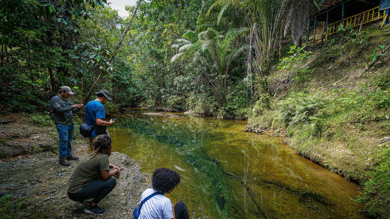la comunidad de Venado Verde a 30 minutos antes del puerto de Buenaventura, trabaja en el turismo ecológico y de conservación, su riqueza natural, riachuelos, cascadas y gran diversidad de fauna, hacen de este lugar un nuevo espacio para los amantes del turismo de aventura.