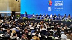 Instalación de la sesión plenaria de alto nivel de la COP16 .