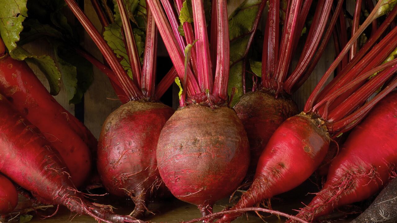 Remolacha