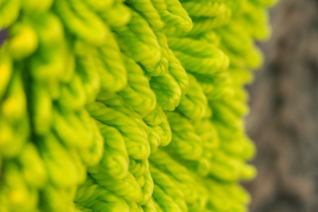 La naturaleza, la tecnología y la circularidad inspiran los materiales del futuro, pensados para sentir, habitar y cuidar.