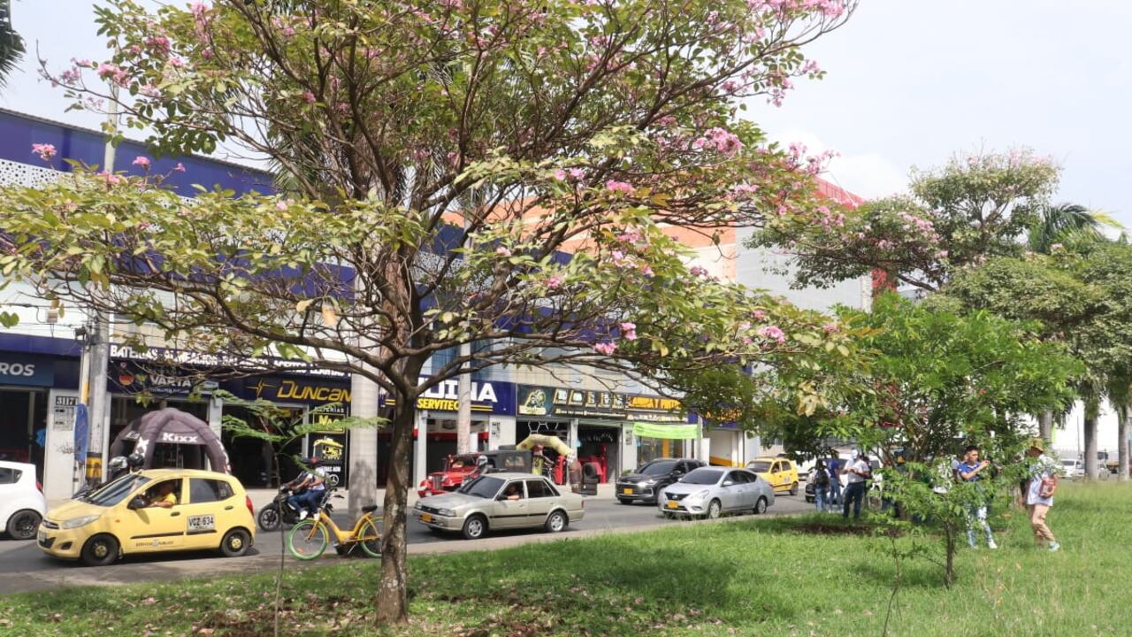 Por la calle 25 transcurrirá la Feria de Cali en diciembre de 2025.