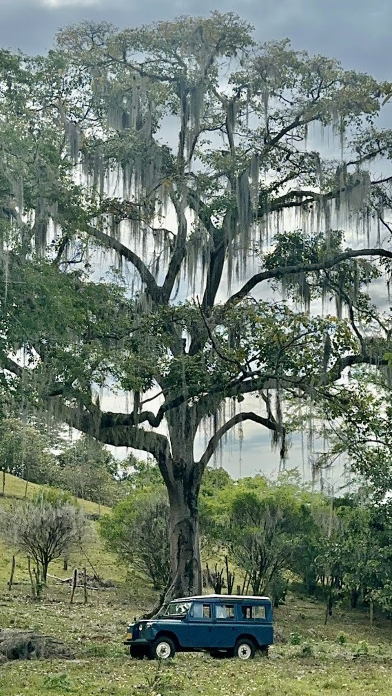Vereda San Emigdio, en Palmira, Valle.