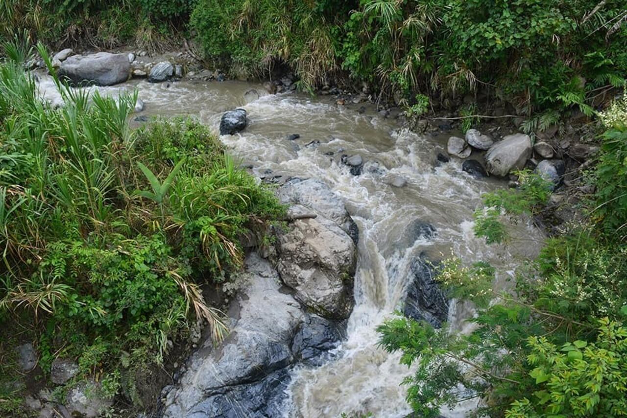 Los ríos fe Florida son uno de sus atractivos.