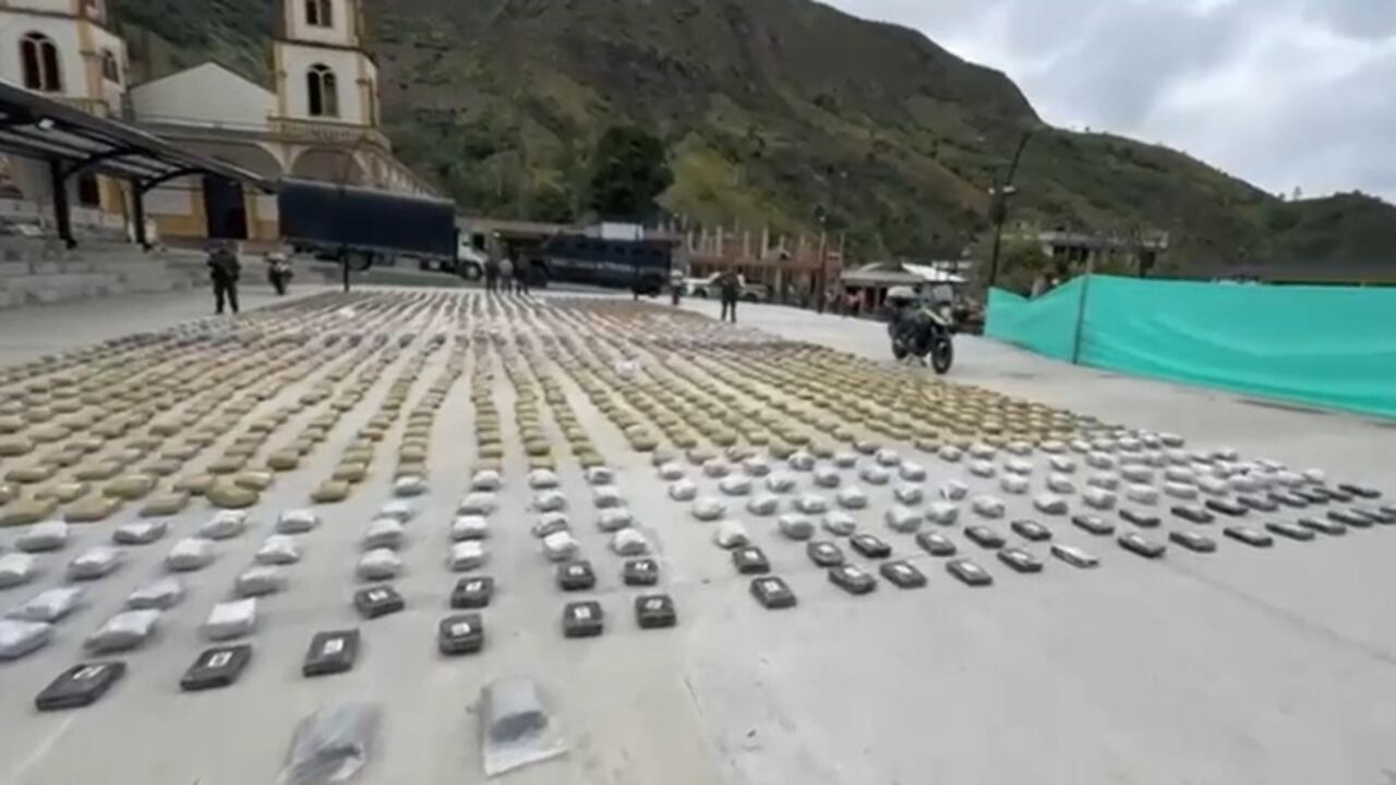 El camión usado para movilizar esta marihuana especial terminó a disposición de la Fiscalía General de la Nación.