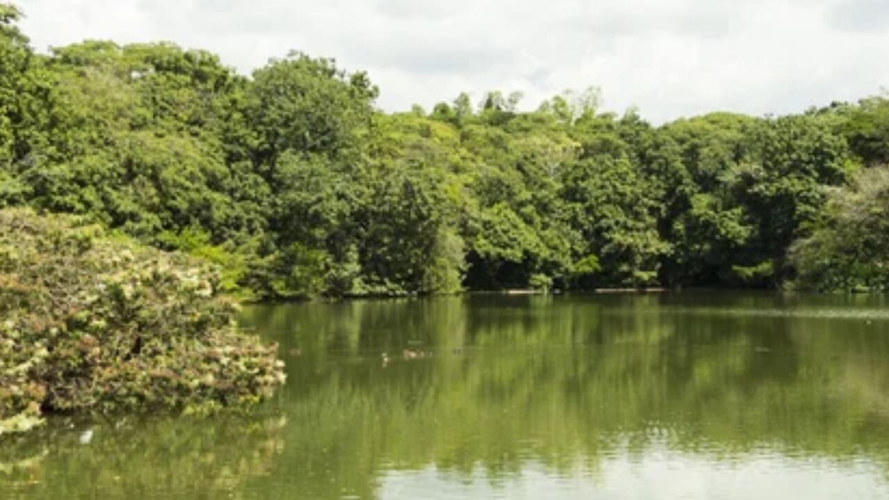 Ecoparque Lago de Las Garzas, Cali