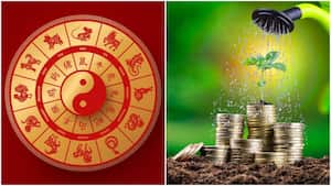 Las plantas pueden atraer la suerte en los signos del Horóscopo Chino.