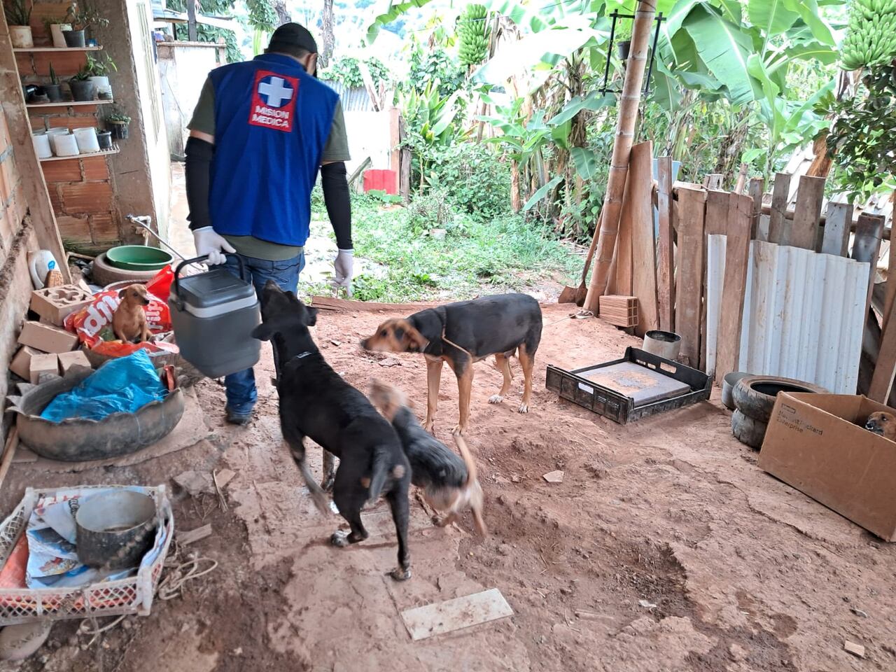 La Dirección Local de Salud del municipio de Timaná y la secretaria de salud departamental del Huila, continuará visitando casa a casa cada uno de los barrios de ese municipio, garantizando que más familias accedan a este servicio gratuito y que nuestras mascotas reciban la protección necesaria.