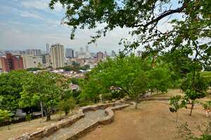 Cali cuenta con 30 bosques urbanos. Unos de los más emblemáticos son el de San Antonio y el Ingenio.