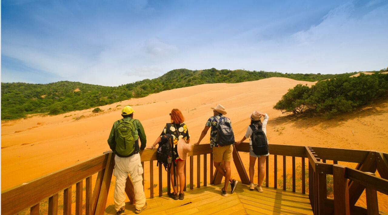 Con la ejecución de proyectos de infraestructura, competitividad y promoción turística se busca mejorar la oferta los territorios, para que los visitantes encuentren experiencias variadas, sostenibles y de calidad, que respete el medioambiente.
Foto: Mincomercio