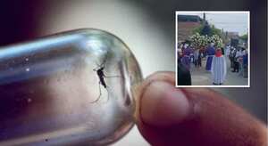 Fiebre amarilla enciende alertas en Girardot: suspenden evento religioso por precaución