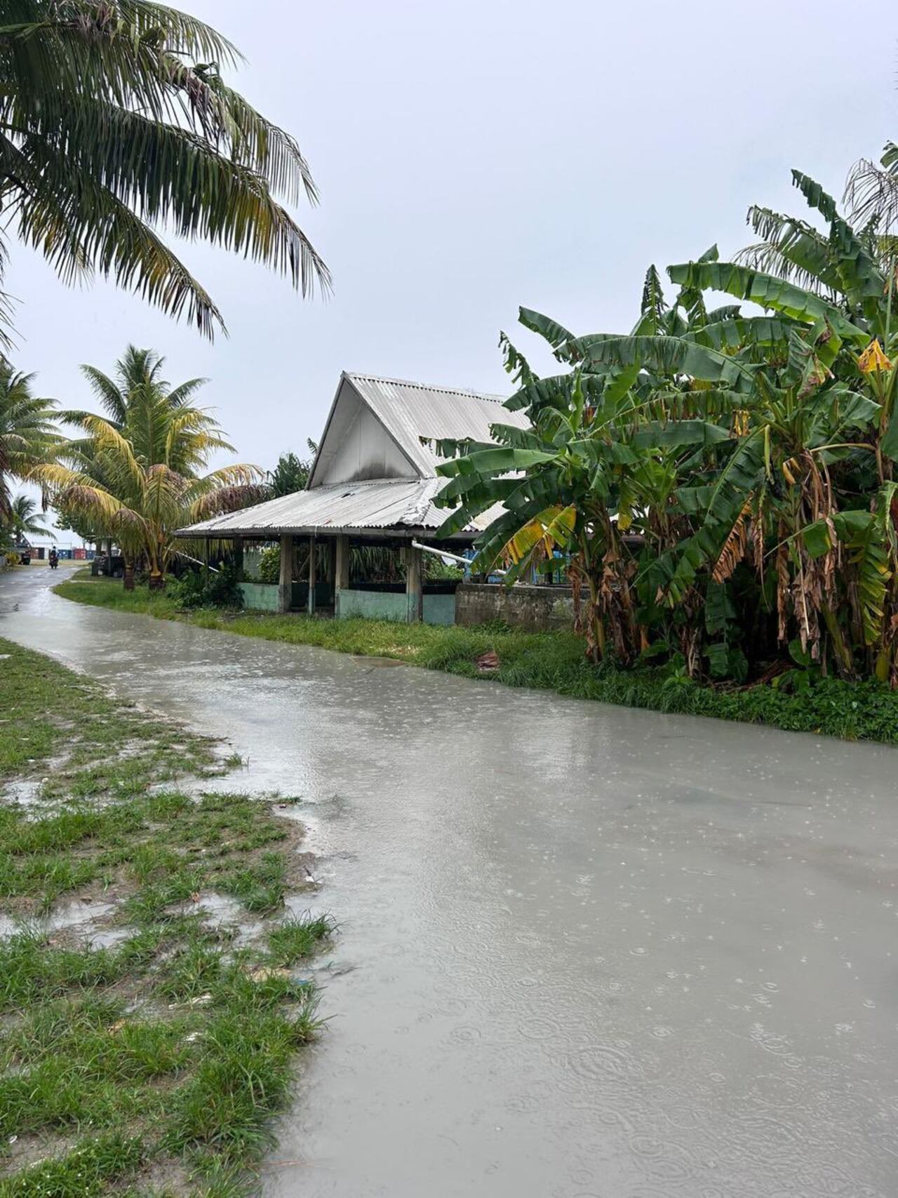 Tuvalu, aunque pequeño y poco poblado, se ha convertido en un símbolo de lo que podrían enfrentar muchas comunidades costeras en las próximas décadas.