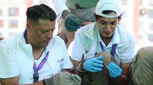 Solo en el Valle del Cauca son 4707. Es el tercer departamento con más desaparecidos después de Antioquia y Meta.