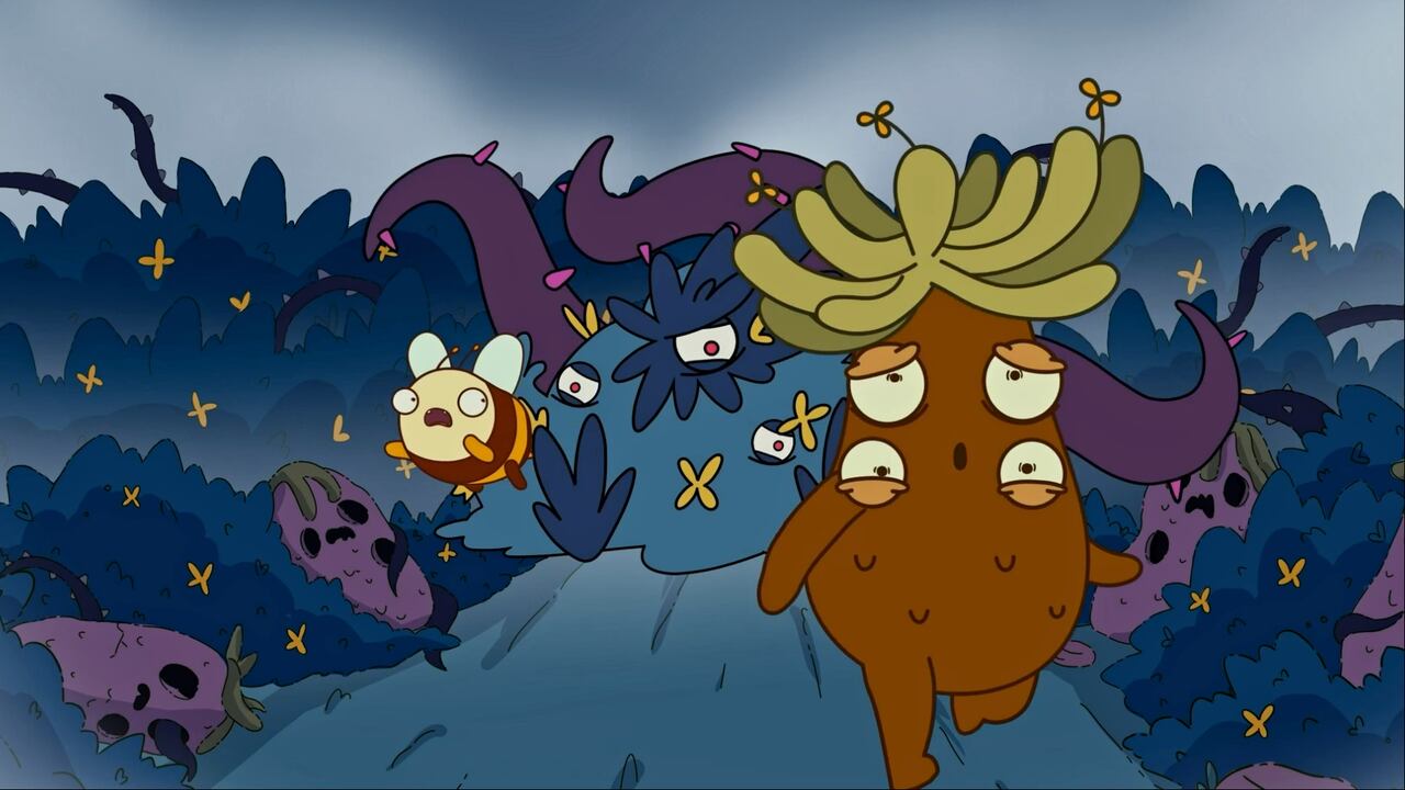 Frailejón Ernesto Pérez