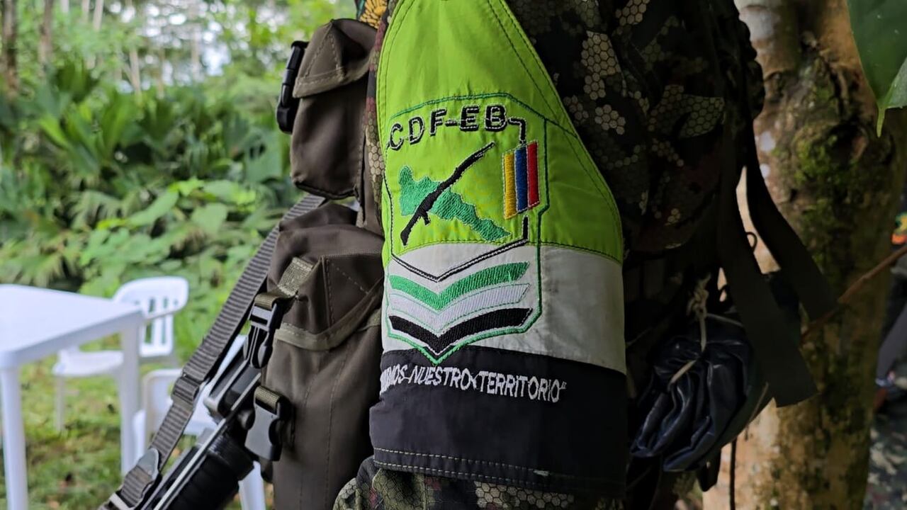 Los Comandos de la Frontera delinquen en los departamento de Amazonas, Caquetá, Putumayo y Nariño.