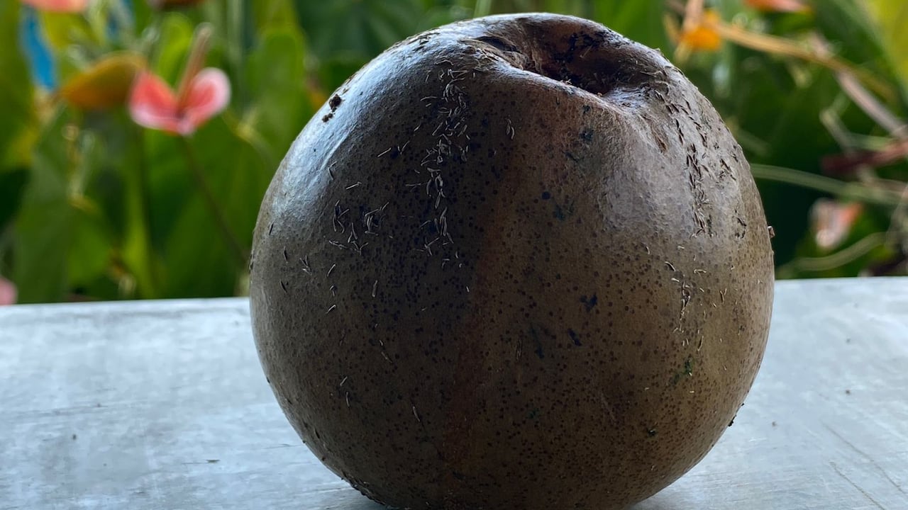 Los conocedores del borojó afirman que este fruto tiene efectos positivos en la salud cardiovascular, en la reducción de la presión arterial y el control del colesterol.