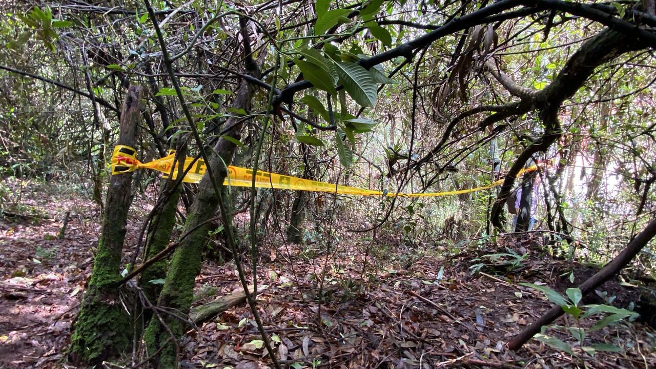 Hernando Sánchez zar de las esmeraldas