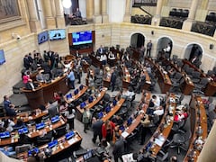 El Senado avaló el presupuesto del 2026. Se registró un recorte de $1,6 billones en la inversión para las regiones. Foto: Senado de la República.
