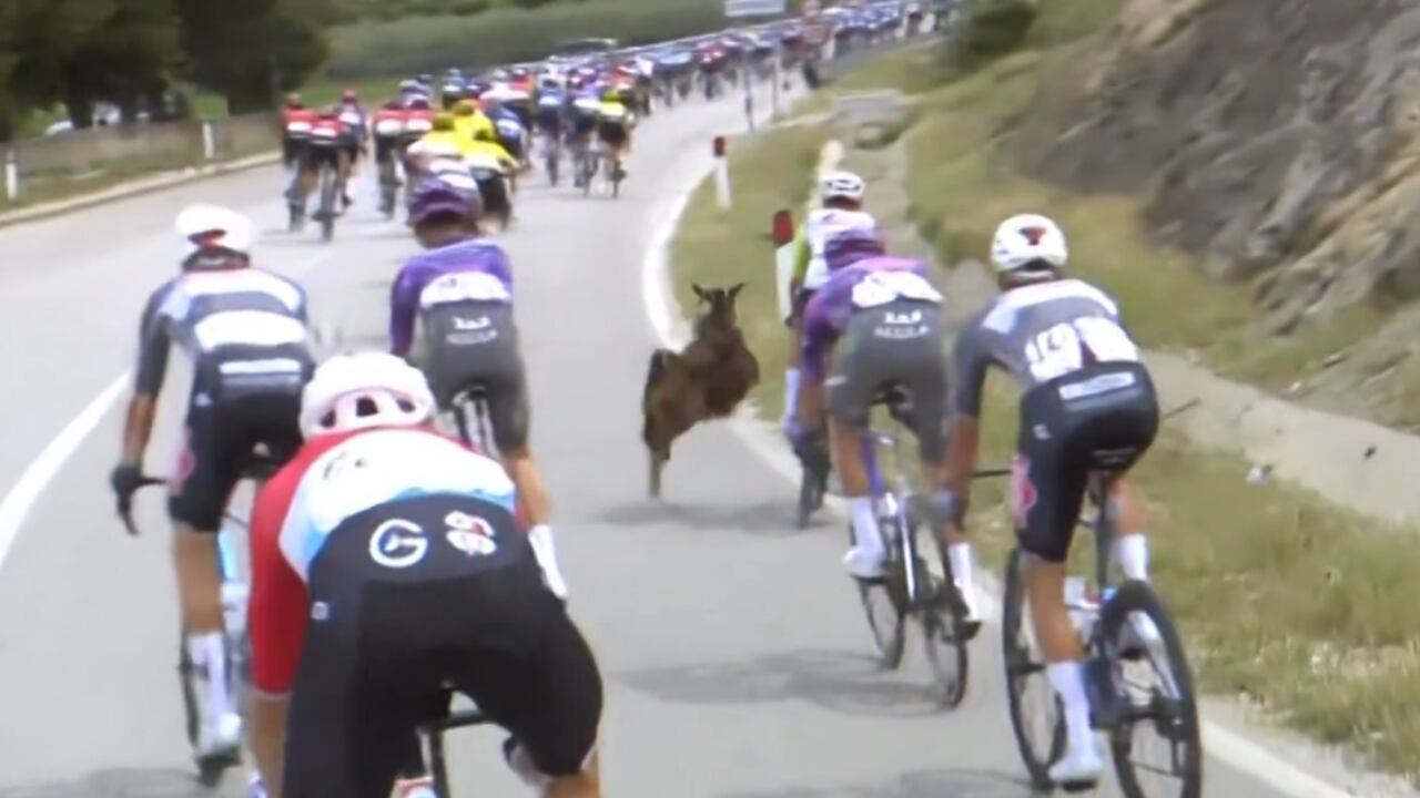 Ciclismo Giro de Italia