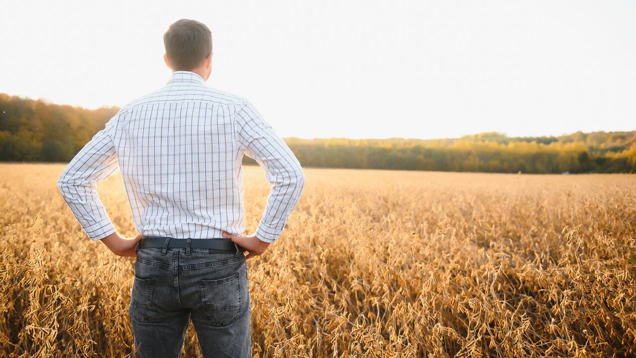 Los cultivos de soya sostenible representan el compromiso con una agricultura responsable que impulsa la seguridad alimentaria y protege el medioambiente en Colombia.