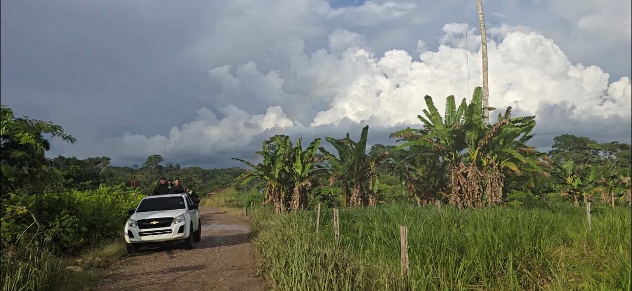 El grupo delinque en diferentes zonas del sur del país.