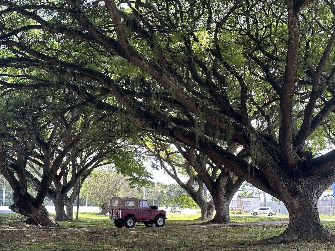 El profesor Diego Rosselli recorre el país en dos Land Rover. Uno esté en el Valle, el otro, en Nariño.